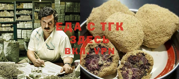 гашик Каменка