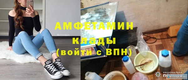 гашик Каменка