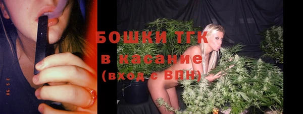 амф Каменногорск