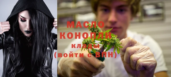 гашик Каменка
