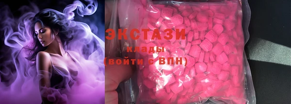 гашик Каменка