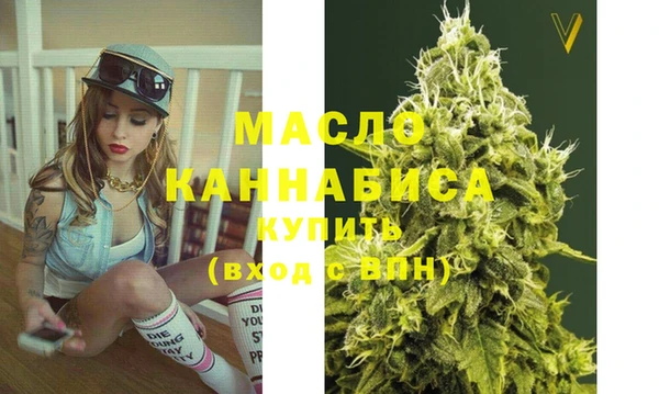 гашик Каменка