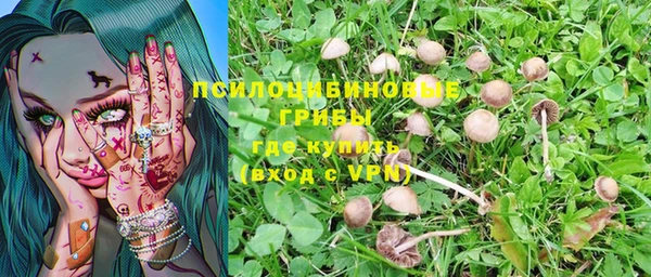 гашик Каменка