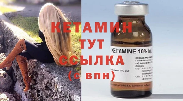 гашик Каменка