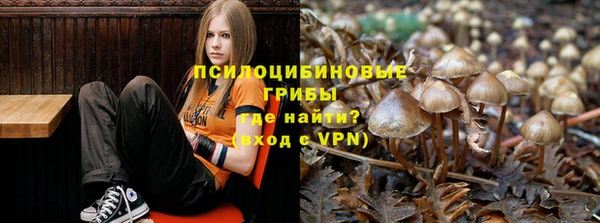 амф Каменногорск