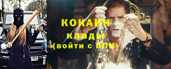 гашик Каменка
