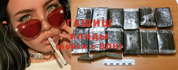 гашик Каменка