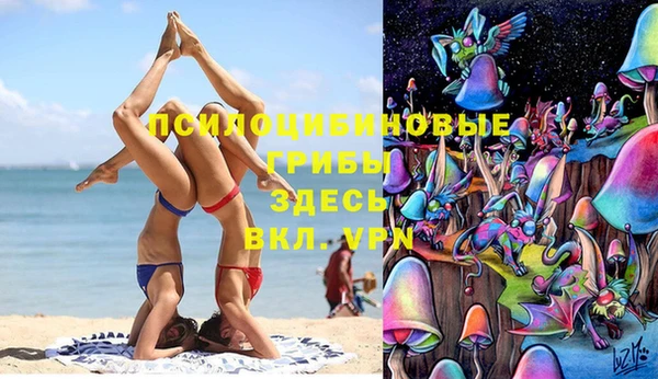 гашик Каменка
