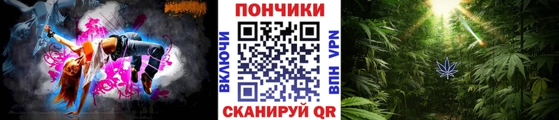 Шишки марихуана OG Kush  Москва 